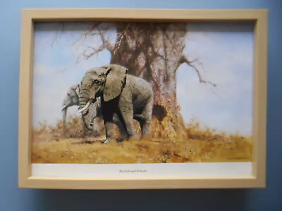 David Shepherd Print 'Baobab And Friends' Elephants / Tree  FRAMED • £23