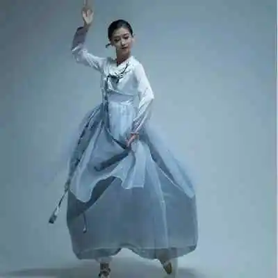 Women Korean Dress Improved Korean Court National Dance Cosplay Dresses Hanbok • $129.01