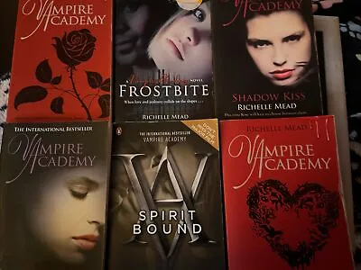 Penguin Books Vampire Academy Series Activity Book (Paperback) Richelle Mead • £4.99