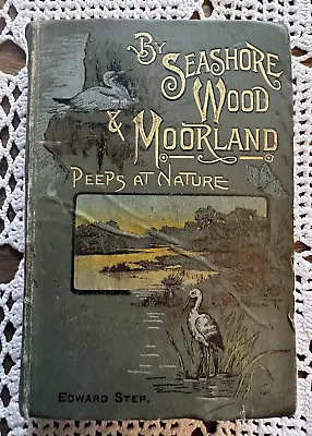 By Seashore Wood & Moorland Peeps At Nature Edward Step 1892 Churchers College • £50