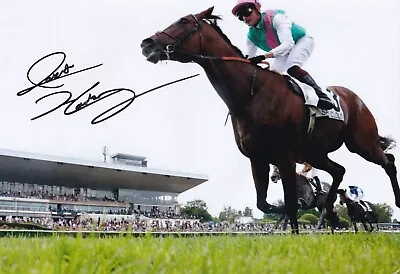 Horse Racing - Rob Hornby - Hand Signed 12x8 Inch Photograph - COA  • £12