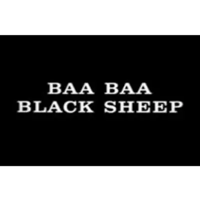 Baa Baa Black Sheep - 36 Classic Episodes • $20.95