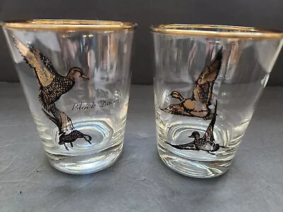 Mallard Ducks Rocks Glasses Set Black Ducks Gold Rim 4.2  Tall Vintage Barware  • $10