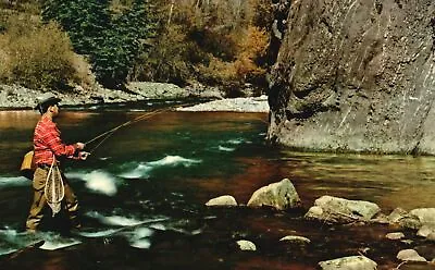 Vintage Postcard Fly Casting Man In The River Fly Fishing H.S. Crocker • $8.10