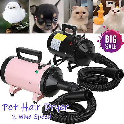 £54.30 • Buy Pet Hair Dryer Dog Cat Grooming Dryer Hair Dryer Blower Bathing 2800W Best Dryer