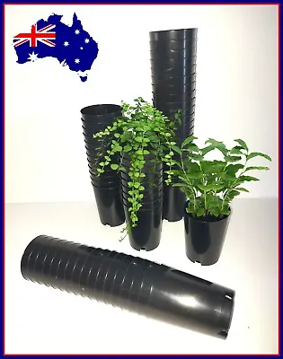 Au Stock 20/40/60pcs Plastic Plant Pots Nursery Seedlings Herbs Veges Container  • $39.95