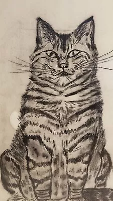 Vintage Cat Charcoal Drawing Sketch Pastel Full Portrait • $80