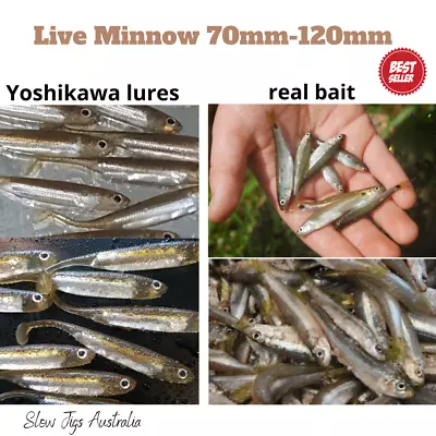 5/6x YOSHIKAWA-Soft Plastic Paddle Tail 70mm-120mm Minnow Lure Fish Bream Flatty • $13.95