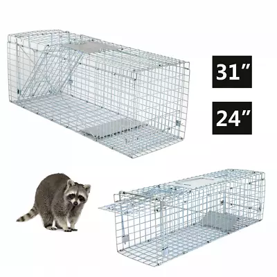 24 /32  Animal Trap Live Trap Large Rodent Cage For Little Pets Rabbit Racoon • $33.58