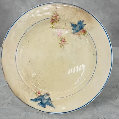 Antique Steubenville Pottery Bluebird Bread Side 6  Plate RARE • $29.99