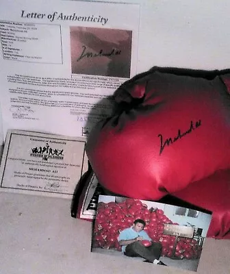 Muhammad Ali SIGNED Boxing Glove SEE CERT FROM JSA (WITHOUT THAT YA GOT NOTHING) • $3000