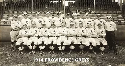 1914 Providence Greys 8x10 Team Photo Baseball Picture Mlb Babe Ruth • $5.99