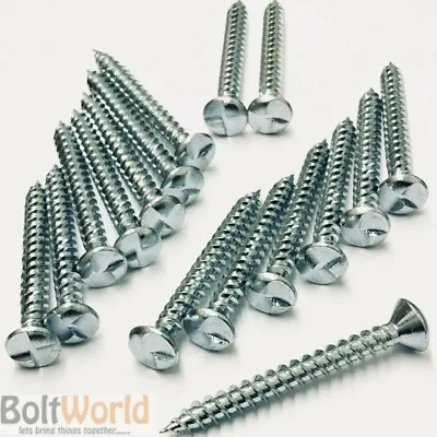 6g 8g 10g 12g ZINC CLUTCH HEAD ONE WAY TAMPER PROOF SECURITY WOOD SCREWS BZP • £7.90