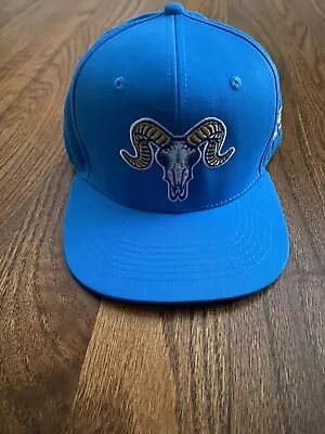 Hartford Yard Goats Los Chivos Minor League Baseball MiLB Velcroback Hat Cap • $14.99