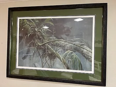 $2475 • Buy Robert Bateman Shadow Of The Rainforest Hand Signed Limited Print Newly Framed