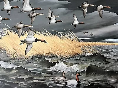 Vintage Maynard Reece Dark Skys Canvasbacks. Artist Proof/950. Image 30” By 20” • $275