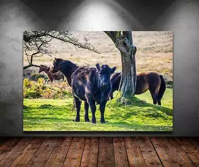 Wildlife Prints Of Dartmoor Ponies And Cows | Devon Animal Photography - Home De • £174.99