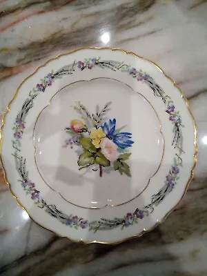 Re0lacement Vintage Haviland Morning Glory 7.5  Lunch Plate - Solange Patry-Bie • $7
