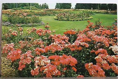 Canada British Columbia Vancouver Stanley Park Flowers Postcard Old Vintage Card • $0.50