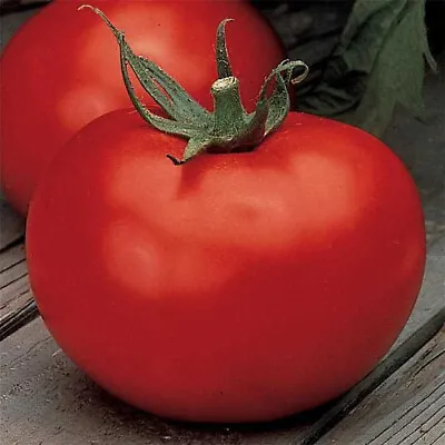 50 Seeds Better Boy Tomato Heirloom Tomatoes Juicy Vegetable Garden • $3.66