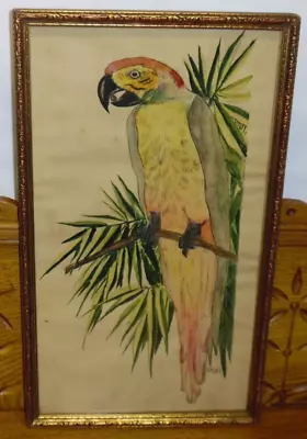 Framed Old Pen & Watercolor Painting Of Parrot Bird - R. Moffett - 1928 • $269.99