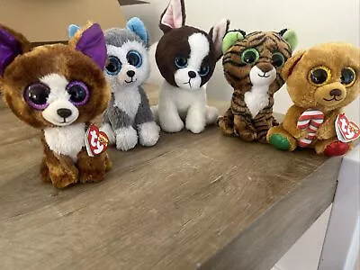 Beanie Boo Lot 5 .Including One Christmas And Halloween Edition. • $12.99