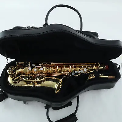 Selmer Paris Mark VI Alto Saxophone In ORIGINAL GOLD PLATE SN 125911 GORGEOUS • $12999