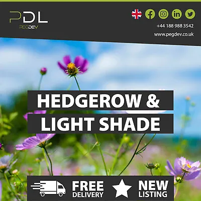 Hedgerow & Light Shade - Wild Flower & Grass Mix Seed - Meadow Bees Butterfly • £5.15