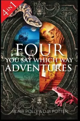 Four You Say Which Way Adventures: Pirate Island In The Magician's House Lost • £5.16