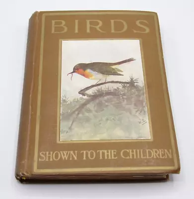 £12 • Buy Birds Shown To The Children By MKC Scott, Vintage Illustrated Hardback