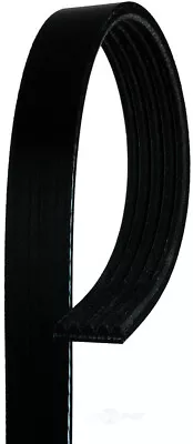 Serpentine Belt-Standard ACDelco Pro 5K538 • $33.33