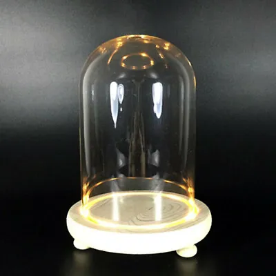 £8.95 • Buy LED Light Decorative Glass Dome DIY Display Stand Cloche Bell Jar Vase Wood Base