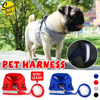 Adjustable Kitten Cat Dog Walking Harness Lead Leash Collar Cat Dog Vest M/XS/S • $10.99