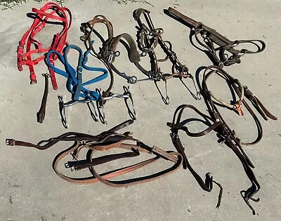 Lot Of Vintage Horse Tack Bits Bridle Leather Halter Hackamore • $10