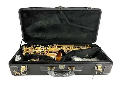 Yanagisawa AWO20UL Unlacquered Bronze Elite Alto Saxophone New In Box! • $6899
