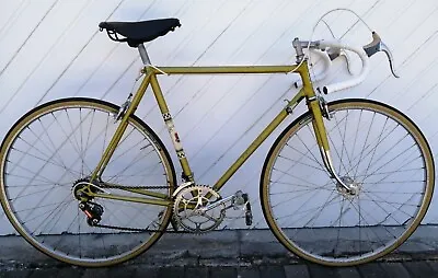 Vintage Rare Peugeot Sports Road Bike 55 Cm (PEUSPO5506) • $550