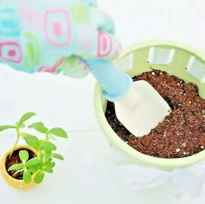 £5.99 • Buy 500ml Of Potting Compost / Soil Disc - Ideal For Indoor Seed Planting (eg Chili)