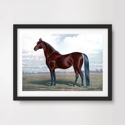 TRADITIONAL HORSE PAINTING EQUESTRIAN ART PRINT Poster Home Decor Wall Picture • £14.99