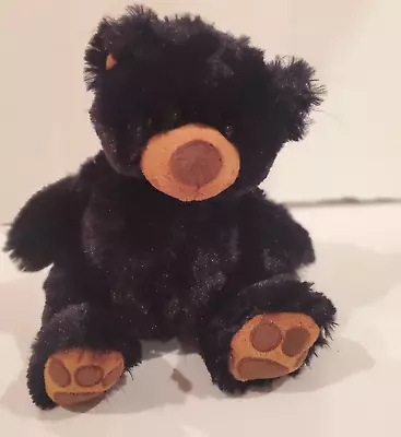 Wishpets BENJAMIN Retired 2010 Plush Stuffed Animal 8  Black BEAR #42208 EUC • $8