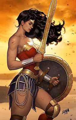 Wonder Woman 11x17 Bruce Wayne POSTER DCU DC Comics Superman Catwoman Diana • $14.99