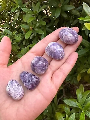 Grade A++ Lepidolite Tumbled Stones 0.75-1.25 Inch Pick How Many • $7.65