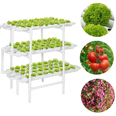 Hydroponic Grow Kit 3 Layer 108 Plant Sites 12 Pipe Garden System Vegetable Tool • $73.99