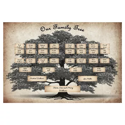 (Assorted Color21) 5 Generation Family Tree Painting Tree Fan Shaped • £5.58