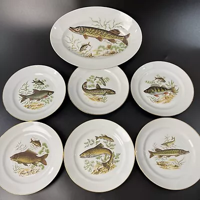 Naaman Israel Fish Plate Set/Lot 6 Dinner 9  & Pike Serving Platter 14.5  Salmon • $125.99