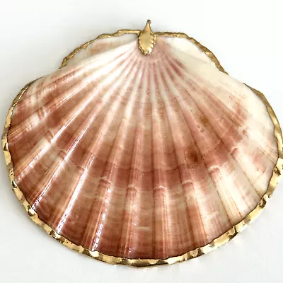 Vintage HUGE Chunky Sea Shell Large Gold Tone Ladies Big Artisan Pendant 3.5  • $29.99