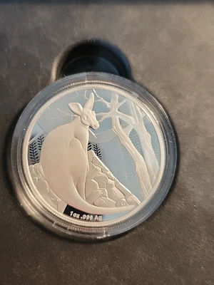 $105 • Buy 2022 1 Oz Silver Proof Coin - Impressions Of Australia Low Number 0012/5000