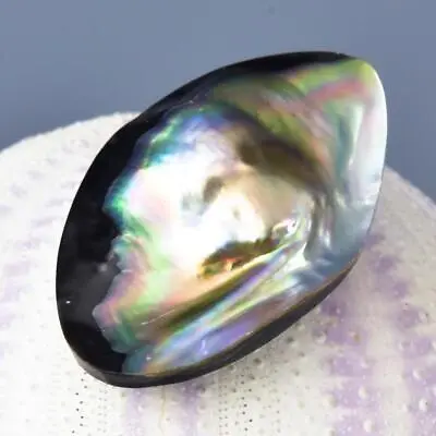 Mabe Blister Pearl In Shell Extreme Colorful Rainbow Iridescent 7.94 G Cabochon • $29