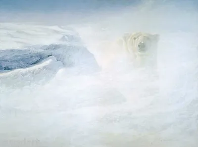 $1375 • Buy Robert BATEMAN White Encounter Limited Art Giclee Canvas Arctic Polar Bear S/N