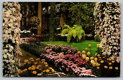 Postcard Longwood Gardens Kennett Square Chrysanthemums Pennsylvania D6 • $3.90