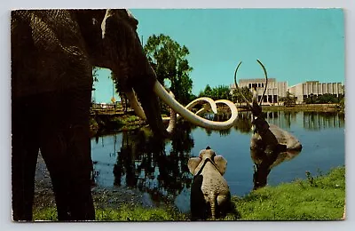 La Brea Tar Pits Hancock Park Los Angeles  California P732 • $4.79